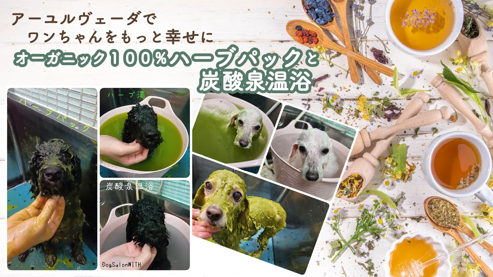 オーガニック１００％ハーブパックと炭酸泉温浴