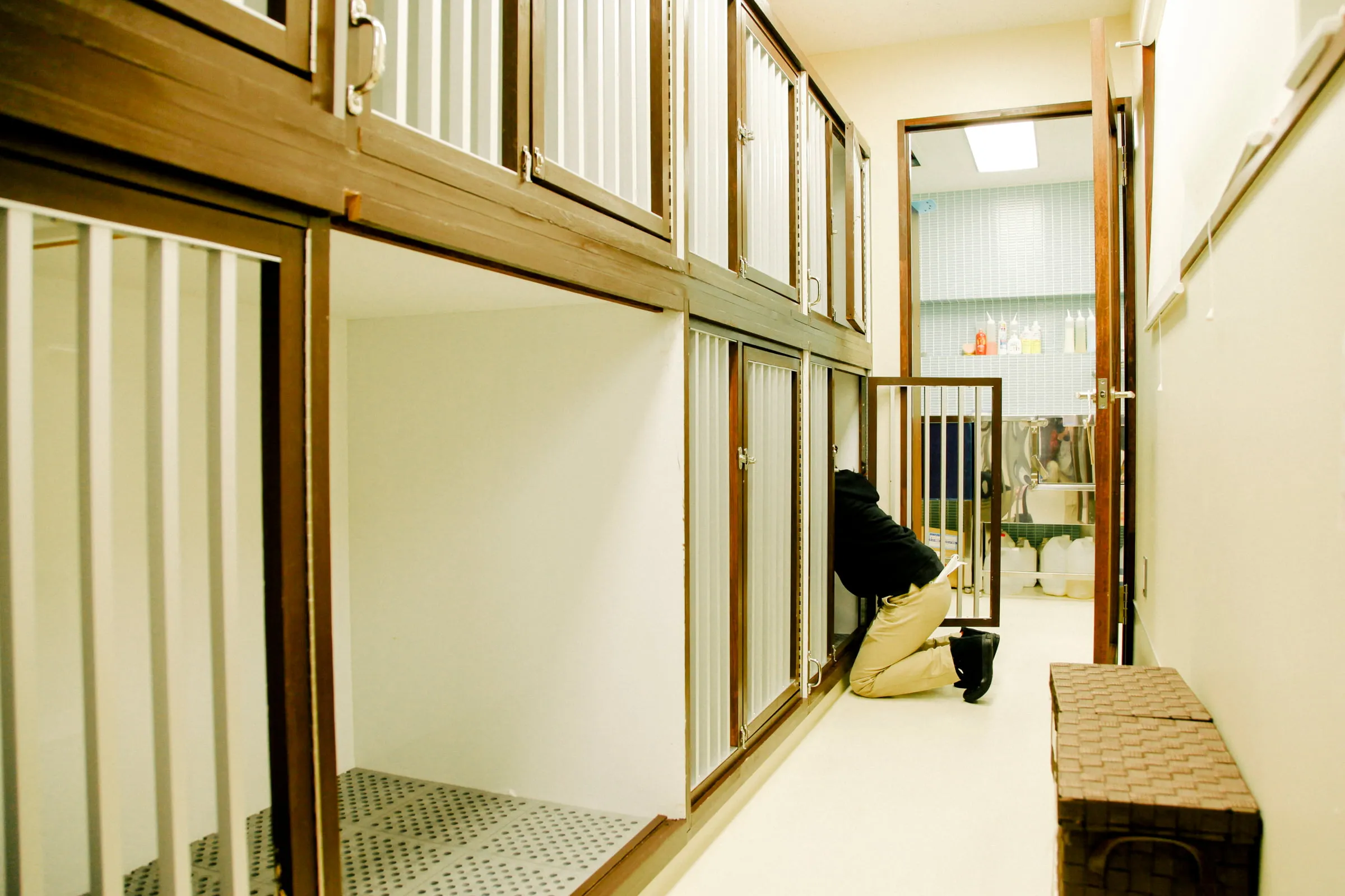 ドッグサロンWITH（ウィズ）新宿店の店内画像4