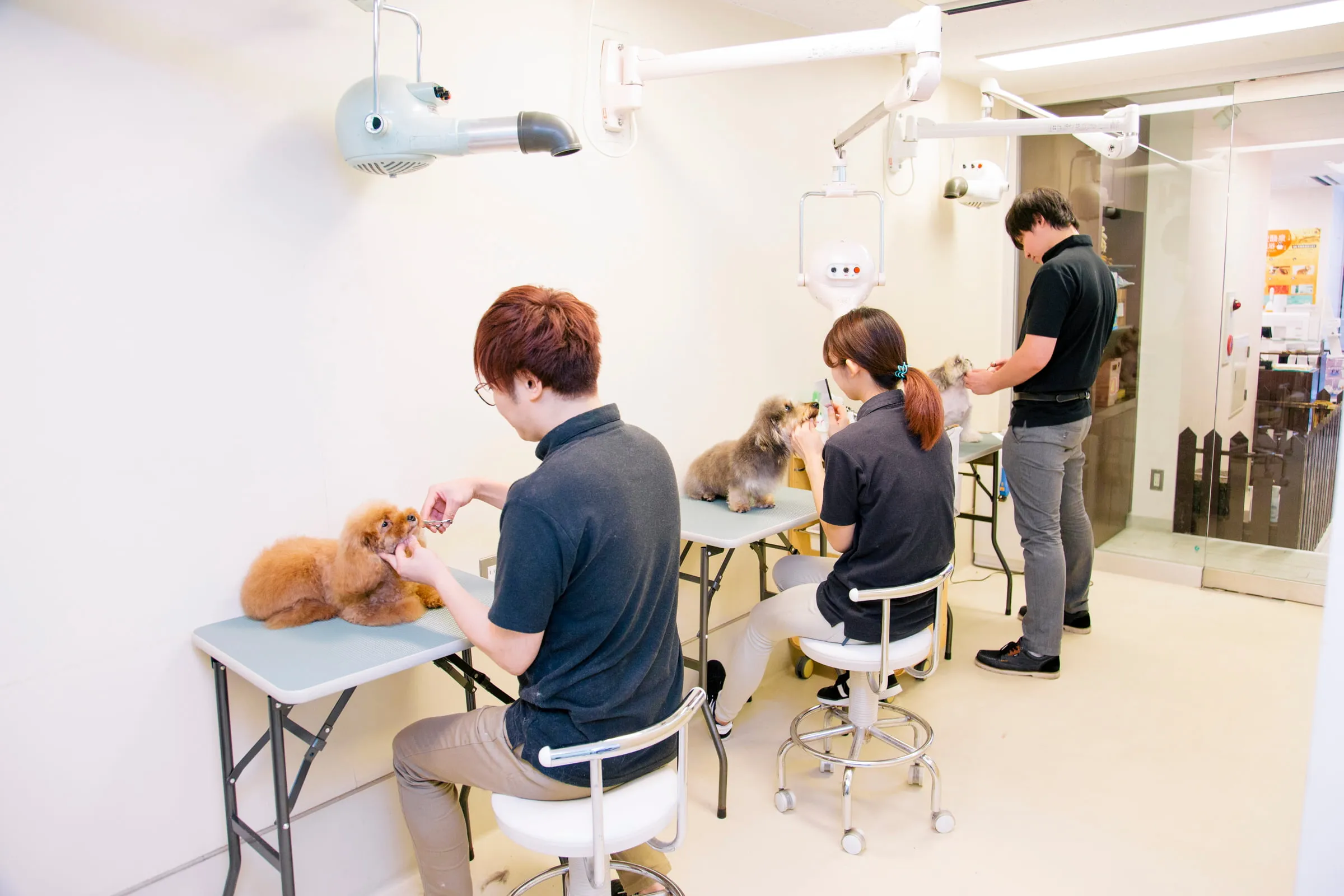 ドッグサロンWITH（ウィズ）新宿店の店内画像5